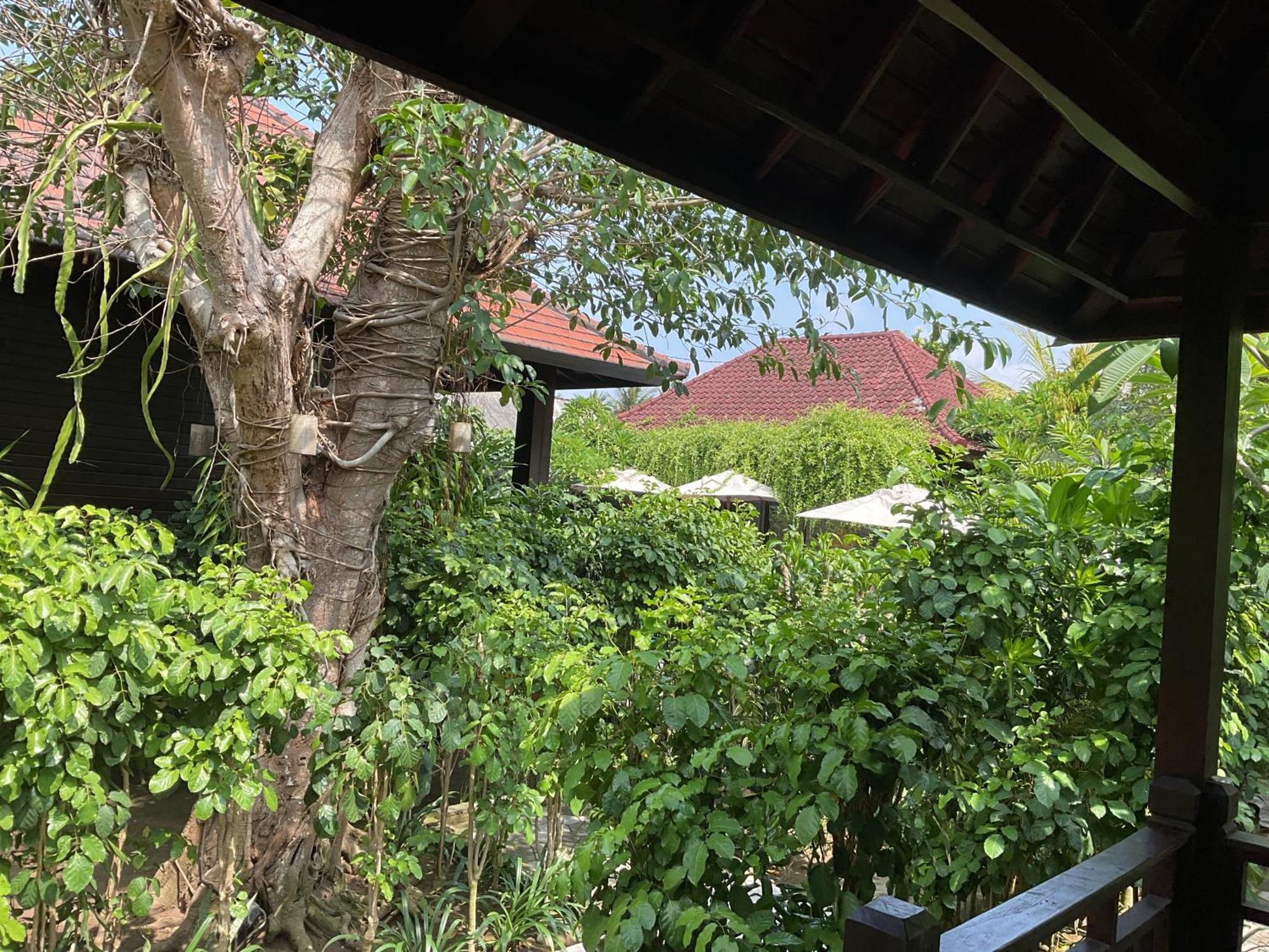 Bunutbali Villas88 Lembongan Eksteriør billede